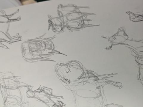 Sketch 05