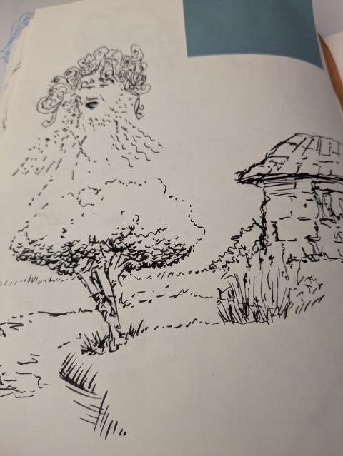 Sketch 23